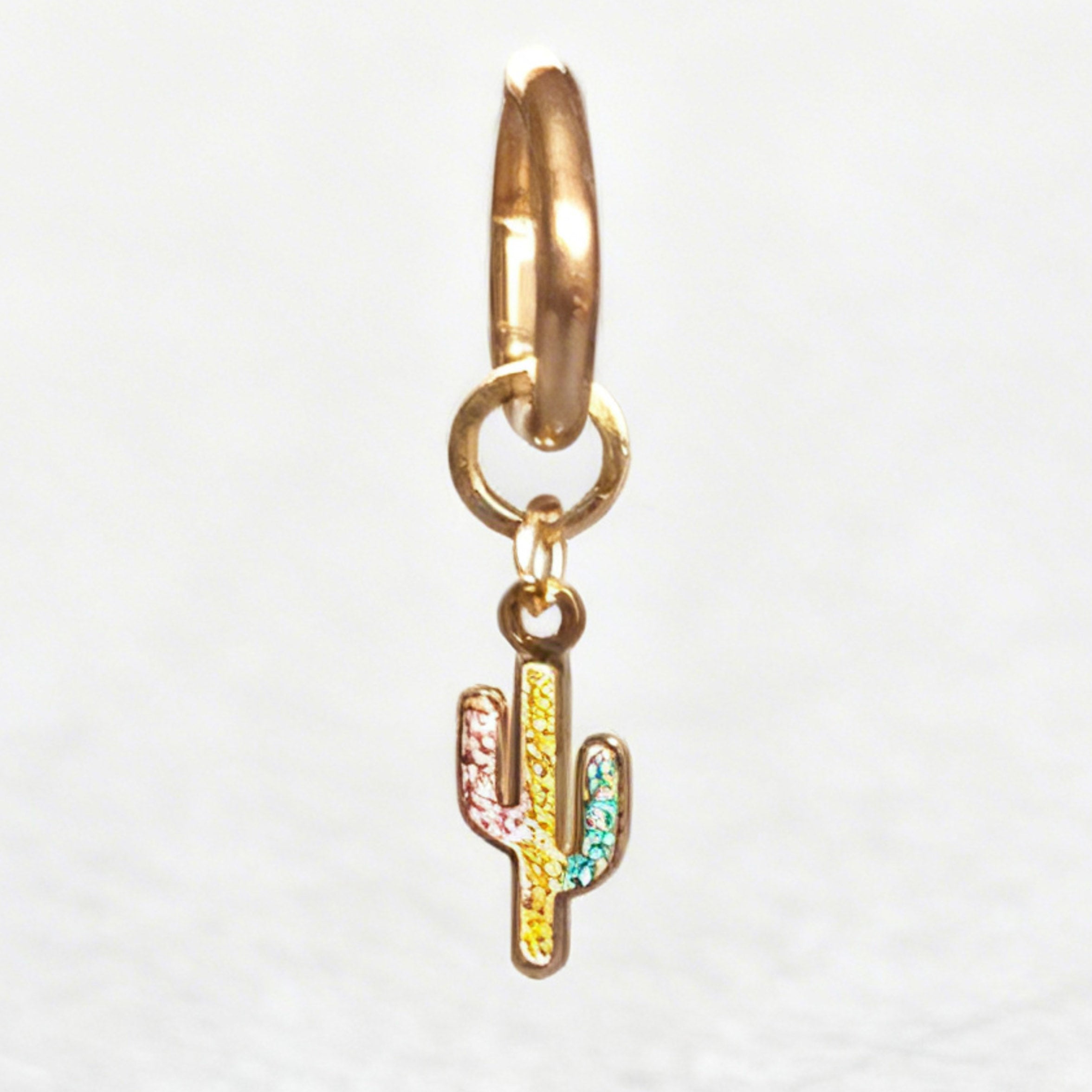 Rainbow Cactus Charm Classic Hex Huggie