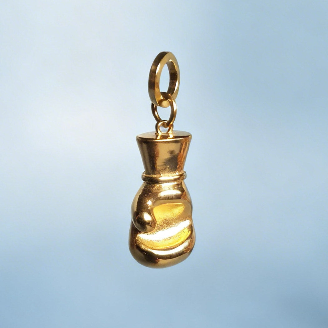 Golden Heavyweight boxer Charm