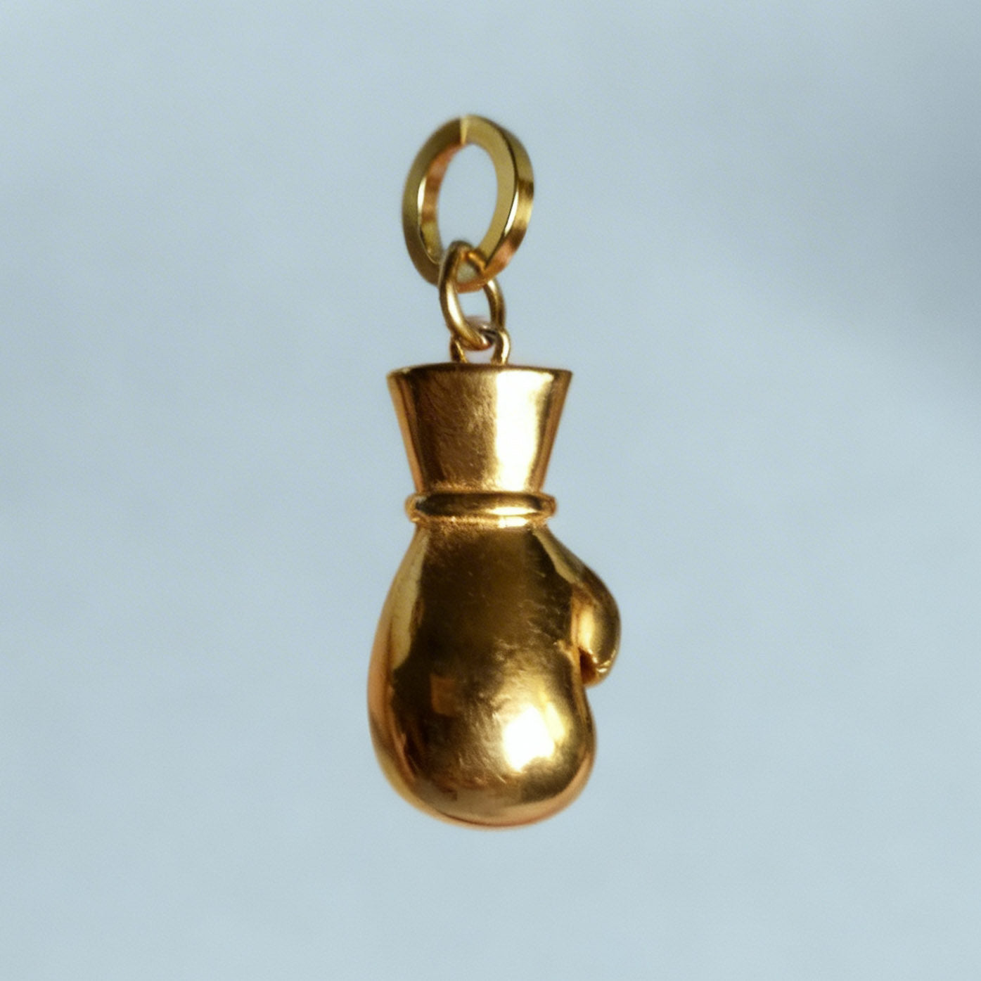 Golden Heavyweight boxer Charm