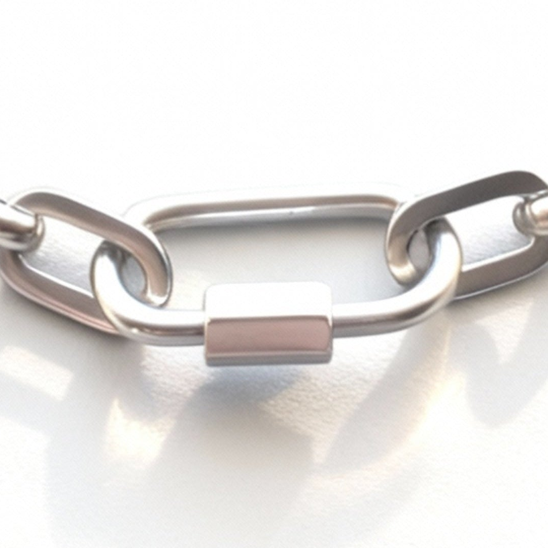Link Bracelet with Statement Lock - Stainless Steal