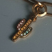 Wild West Rebel Locked Curated Bracelet