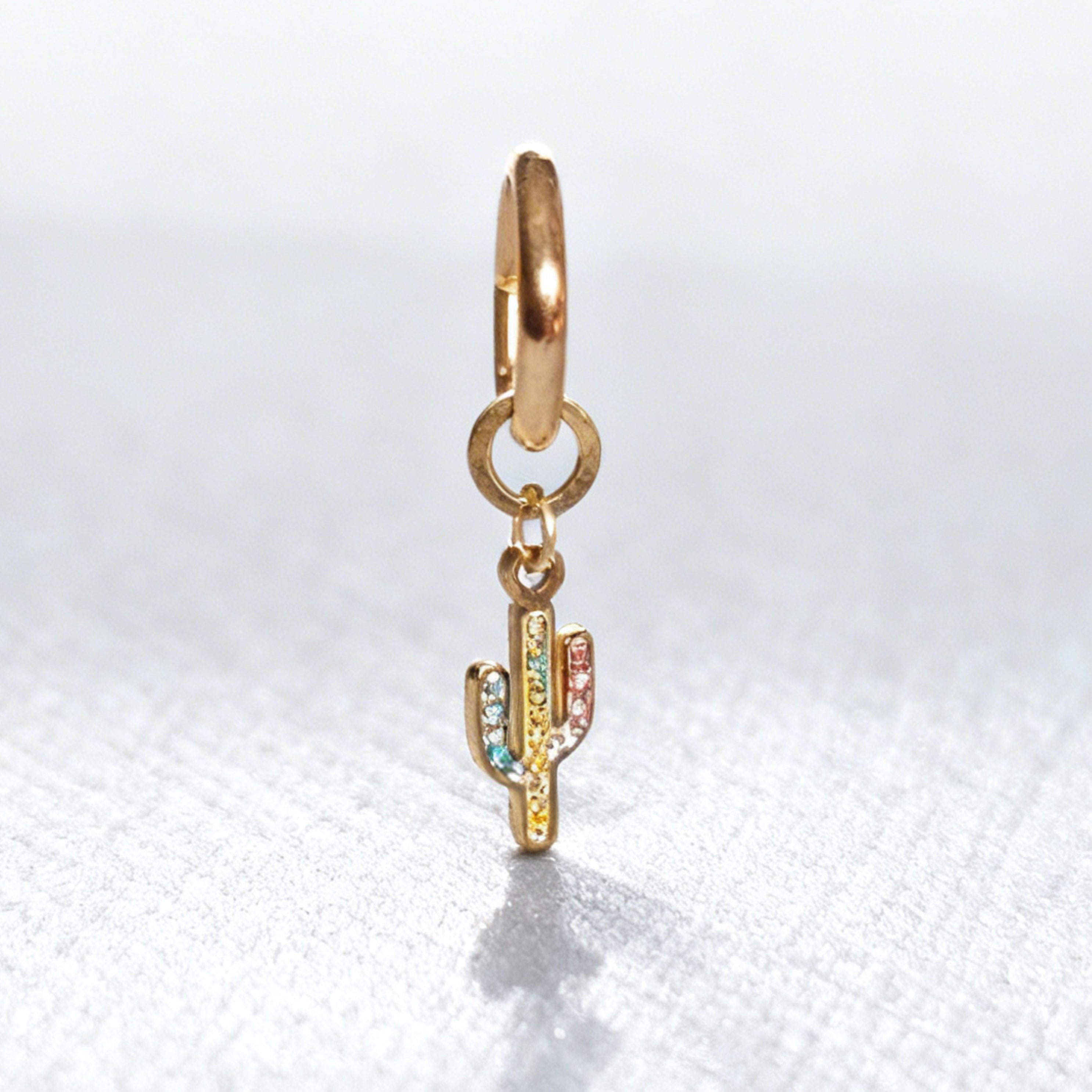 Rainbow Cactus Charm Classic Hex Huggie