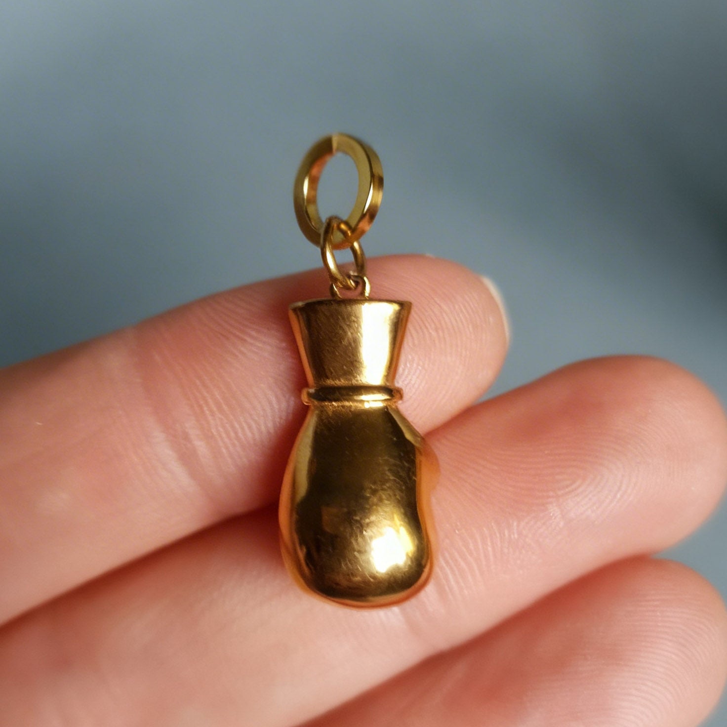 Golden Heavyweight boxer Charm