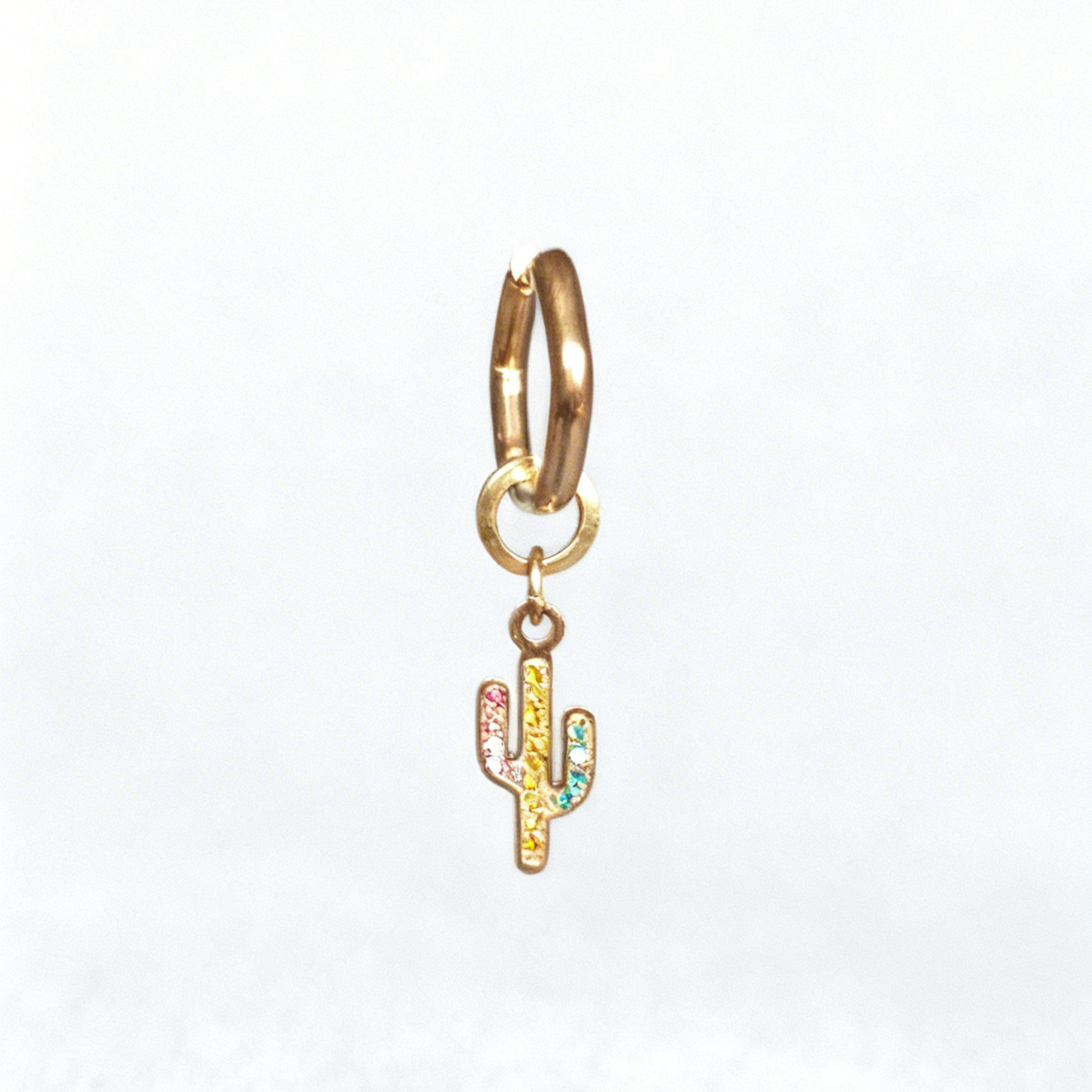 Rainbow Cactus Charm Classic Hex Huggie